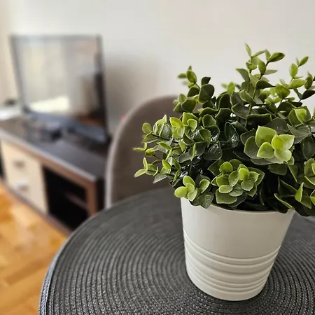 Stan Svetozara Markovica 5a